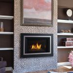 Efficient Fireplace Best Of 24 Best Gas Inserts Images On Pinterest Gas Fireplace Inserts