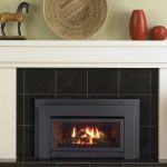 Regency Fireplace Prices Inspirierend 24 Best Gas Inserts Images On Pinterest Gas Fireplace Inserts